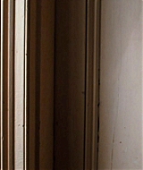 ellefanning_gingerrosa_4982.jpg