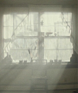 191.jpg