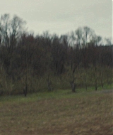 204.jpg