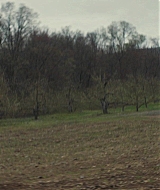 205.jpg