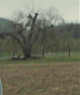 214.jpg