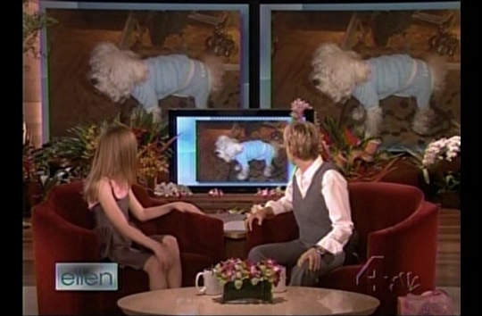 interviews_march13th09ellenshow123.jpg